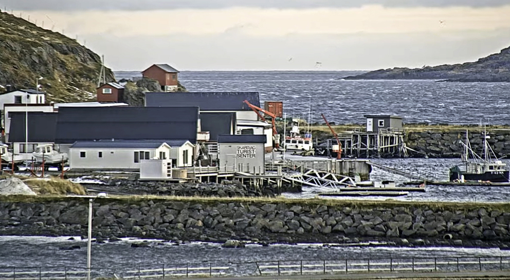 På kaia i Skarsvåg mandag morgen den 1. november 2021. Liten kuling fra sør. Et par varmegrader. Snøen har tint. (Skjermklipp fra kameraet til Skarsvåg bygdelag)