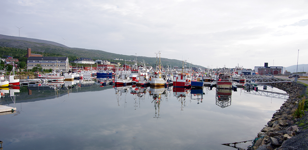 Fiskebåter i Båtsfjord havn. (Foto: Jostein Sandsmark)